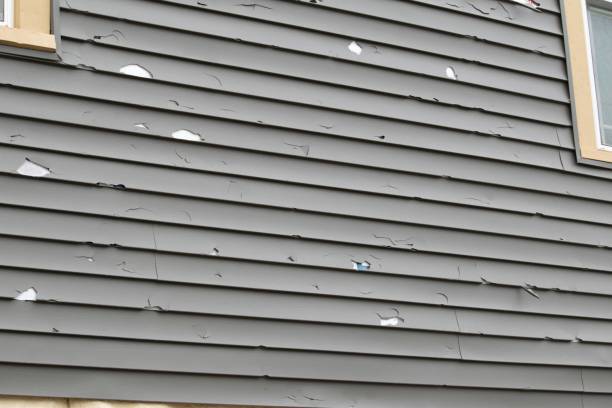 Best Steel Siding Installation  in , VT